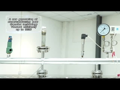 ZQJ-300KG-0.7Mpa 가스 연소 모듈 용광로 증기 발생기